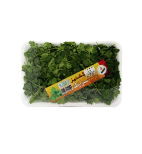 سبز آرنگ سبزی گشنیز 120 گرم