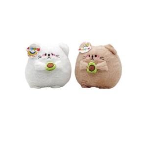 گربه آووکادو بدست بزرگ