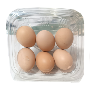تخم مرغ محلی 6 عددی تخم مرغ محلی 6 عددی