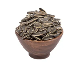 تخمه کانادایی شور فله