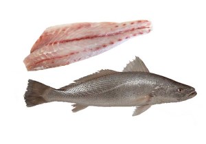 ماهی شوریده منجمد کوثر فله ماهی شوریده منجمد کوثر فله