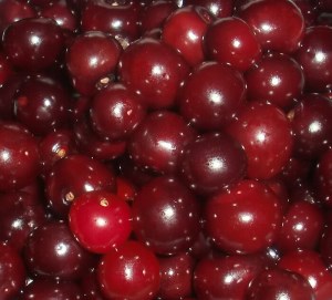 ترشی آلبالو فله