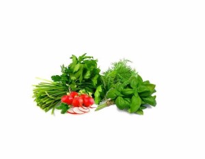 سبزی خوردن فله