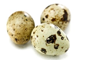 تخم بلدرچین فله