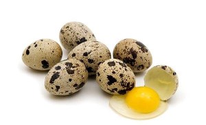 تخم بلدرچین