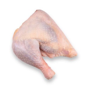 ران بوقلمون