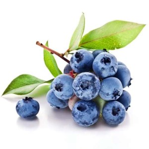 بلوبری میوه