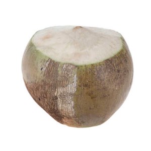 شیر نارگیل میوه