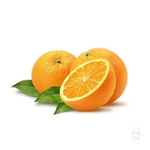 میوه پرتقال ناول فله