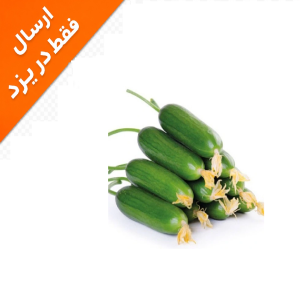 خیار سبز مینی