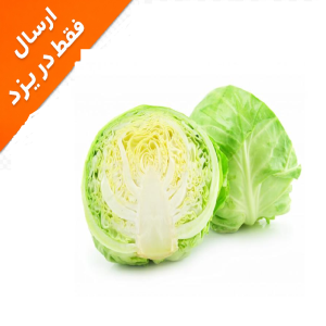 کلم برگ سفید