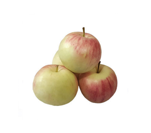 سیب گلاب ریز