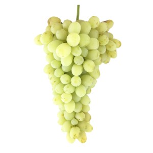 انگور رطبی