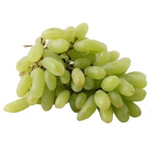 انگورریش بابا انگورریش بابا