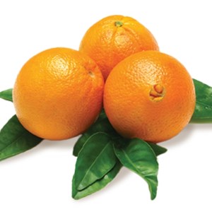 پرتقال تامسون