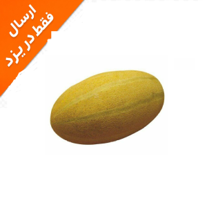 خربزه مشهدی