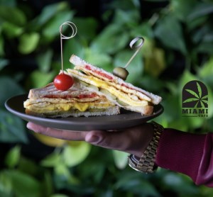 کلاب تخم مرغ