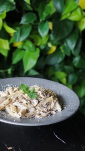 پاستا چیکن آلفردو