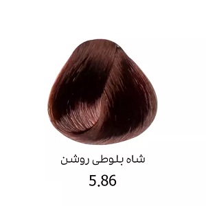رنگ مو شاه بلوطی روشن 5/86 دنی وان