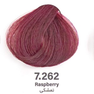 رنگ مو بدون آمونیاک تمشکی 7/262دنی وان 100 میل