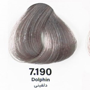 رنگ مو بدون آمونیاک دلفینی 7/190 دنی وان 100 میل