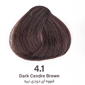 رنگ مو بدون آمونیاک قهوه ای دودی تیره 4/1 دنی وان 100 میل