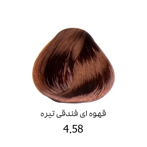 رنگ مو قهوه ای فندقی تیره 4/58 دنی وان