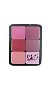 فیتور میکاپ جور پالت کانتور و رژ گونه