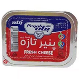 پگاه پنیر سفید 30 گرم پگاه پنیر سفید 30 گرم