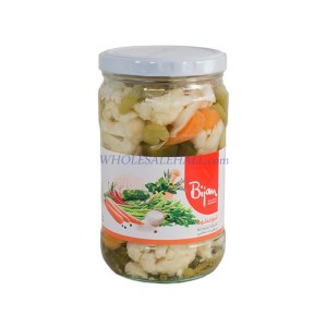 بیژن شور مخلوط شیشه 670گ