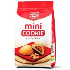 نادری مینی کوکی گردویی