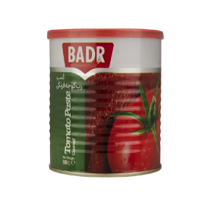 بدر رب گوجه فرنگی 800 گ