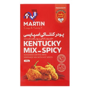 رشد آرد کنتاکی اسپایسی 210گ