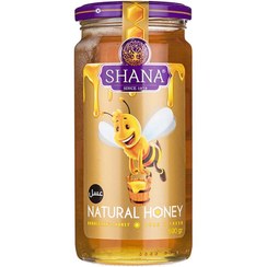شانا عسل شیشه 310گ