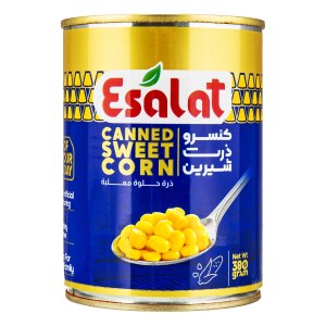 کنسرو ذرت شیرین 380 گرم اصالت