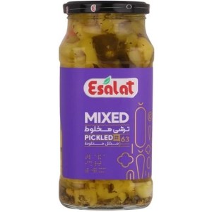 اصالت ترشی شورمخلوط 570گ