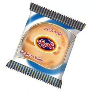 نادری کلوچه نارگیلی 100گ (سوغات)