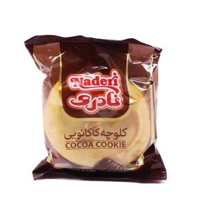 نادری کلوچه شکلاتی 100گ (سوغات)