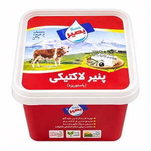 بصیر پنیر لاکتیکی 400گ