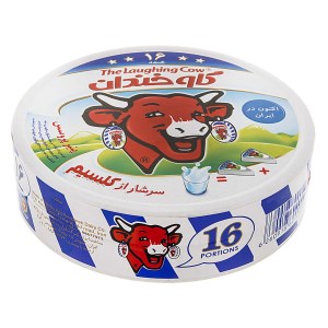 پنیر گاوخندان 16 عددی 240گ روزانه