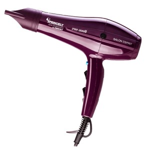 پرنسلی سشوار حرفه ای pr250