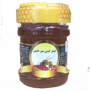 عسل گیتی سبز خمین 450گ