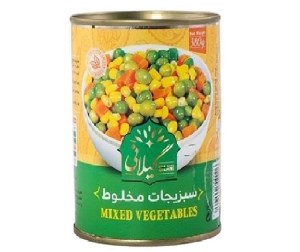 گیلانی کنسروسبزیجات مخلوط 420گ