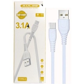 AULGE کابل شارژر تایپ سی 3.1A