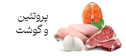 دسته-بندی-پروتئین-و-گوشت
