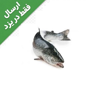 ماهی قزل آلا
