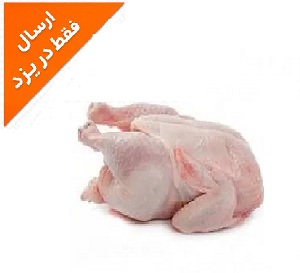 مرغ گرم شمال